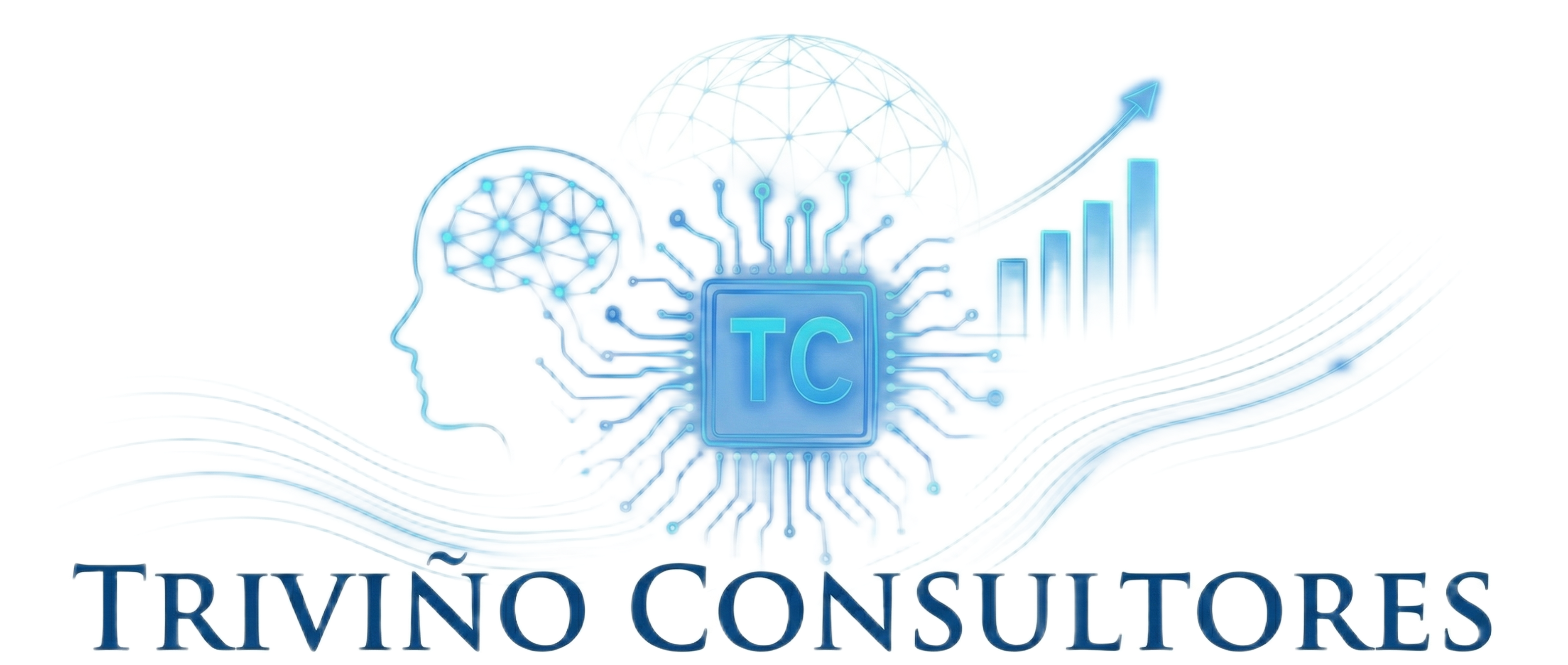 Trivi&ntilde;o Consultores logo